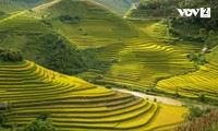 Vietnam among Top 21 life-changing trips for travelers