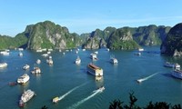 Ha Long Bay named trending destination in 2024 by TripAdvisor