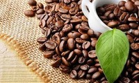 Vietnamese coffee sets export record of 4.5 billion USD