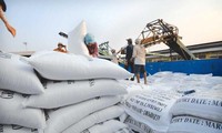 Vietnam’s rice export prices remain highest worldwide