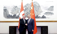 China respects Denmark's sovereignty over Greenland, FM says