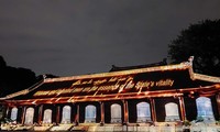 Temple of Literature’s history told through 3D mapping show
