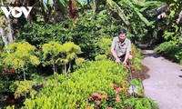 From battlefield to farmland: Ca Mau veteran spurs local economic growth 
