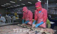 Dong Thap aims at 2 billion USD seafood exports by 2030