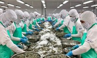 Vietnam seafood exports likely to reach 11 billion USD in 2025
