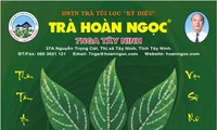 Trà hoàn ngọc hỗ trợ tiêu hóa và suy thận