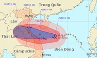 Miền Trung khẩn trương đối phó với bão Wutip