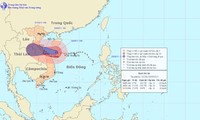 Chiều 30/9, bão số 10 có khả năng đổ bộ vào đất liền