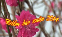 Điểm báo Xuân Giáp Ngọ 2014