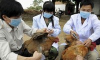 Việt Nam sẵn sàng ứng phó dịch bệnh do cúm A(H7N9) 