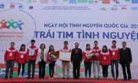 Ngày hội tình nguyện Quốc gia năm 2014 