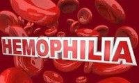 Việt Nam kỷ niệm Ngày Hemophilia Thế giới 17/4 