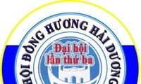 Đại hội Hội đồng hương Hải Dương tại Moscow, Liên bang Nga