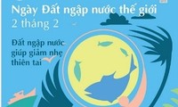 Trồng cây ngập mặn hưởng ứng Ngày Đất ngập nước thế giới năm 2017 