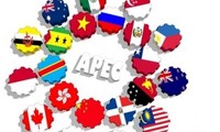 Việt Nam tăng cường vai trò và vị thế trong APEC