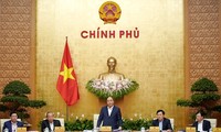 Khai mạc phiên họp Chính phủ thường kỳ tháng 2/2019