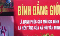 Bình đẳng giới mục tiêu phấn đấu của Việt Nam