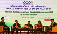 Tăng cường kết nối các sản phẩm OCOP