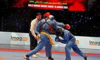 Giải vô địch quốc gia Vovinam Việt võ đạo lần thứ 17 ở Algeria