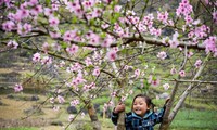 Thính giả quan tâm tới vẻ đẹp Phong Nha-Kẻ Bàng và hoa ban Tây Bắc