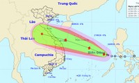 Các địa phương chủ động ứng phó với bão Noul