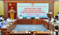 Phát huy vai trò, đóng góp của kiều bào trong công tác phòng, chống dịch COVID-19