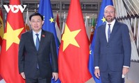 Việt Nam hợp tác cùng EU và EP thực thi hiệu quả EVFTA