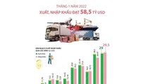 Tháng 1/2022, xuất khẩu đạt 29 tỷ USD, tăng 1,6% so với cùng kỳ năm ngoái