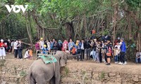 Lễ hội cà phê Buôn Ma Thuột có chủ đề “Buôn Ma Thuột-điểm đến của cà phê thế giới” 