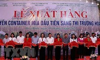 Tỉnh Hòa Bình xuất khẩu lô hàng mía tươi đầu tiên sang Hoa Kỳ 