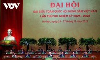 Nông dân là chủ thể, trung tâm của quá trình phát triển nông nghiệp, kinh tế nông thôn và nông thôn mới