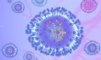 Y học cổ truyền phòng ngừa cúm do virus HMPV