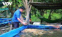 Nguyễn Trí Thức – Chàng thanh niên ở Hậu Giang làm giàu nuôi cá tai tượng da beo