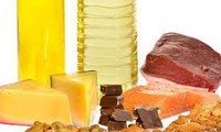 Chất đạm và chất béo: dinh dưỡng cần thiết cho cơ thể