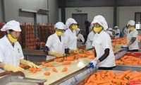 Hướng tới mốc xuất khẩu 10 tỷ USD rau, quả