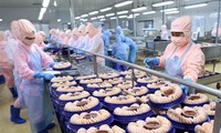 Объем экспорт морепродуктов Вьетнама превысит 10 млрд долларов США по итогам 2024 г.