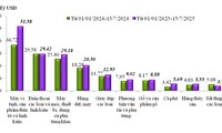 Сальдо торгового баланса Вьетнама за первую половину июля выросло на 16%