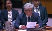 Совет Безопасности ООН обсудил ситуацию с израильско-палестинским конфликтом
