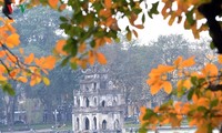 Red orange colour of foliage around Hoan Kiem lake