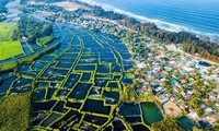 Stunning beauty of Quang Ngai captured from above