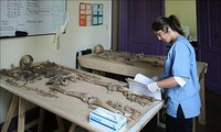 Forenses argentinos ayudan a Vietnam a identificar desaparecidos en la guerra