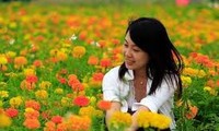 Hoa cỏ mùa xuân- Flores y plantas de la primavera