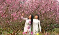 Em ơi, mùa xuân đến rồi đó- Llegó la primavera, mi cariño!