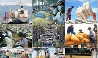 Vietnam impulsa re-estructuración de empresas estatales 