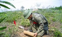 Vietnam incentiva eliminación de secuelas de las bombas y minas en posguerra