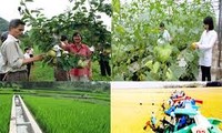 Soluciones para implementar la construcción del nuevo campo vietnamita