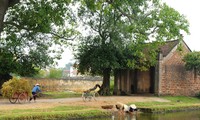 Visita a la antigua villa de Duong Lam