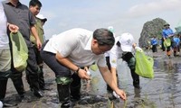 Prosiguen en Vietnam actividades por el Día Mundial del Medio Ambiente