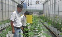 Vietnam por aplicar alta tecnología en producción agrícola