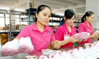 Vietnam y Brasil incentivan intercambio comercial y cooperación